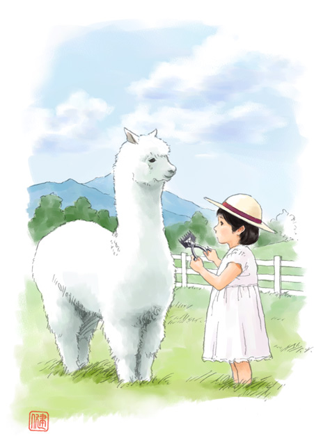 alpaca